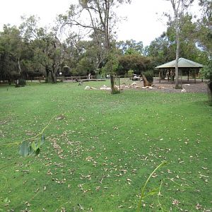 Macropod walkthrough