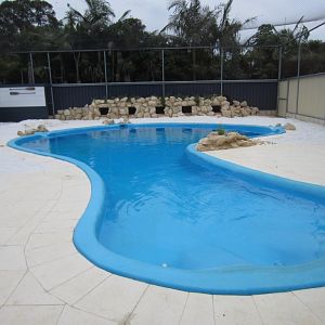 Penguin enclosure nearing completion