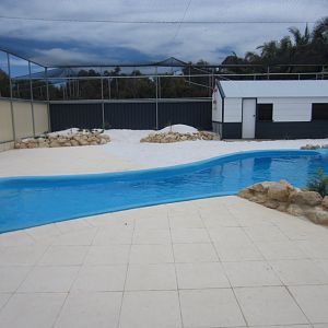 Penguin enclosure nearing completion