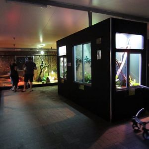 Reptile House interior