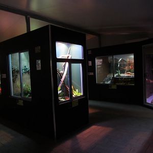 Reptile House interior