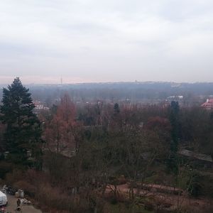 View to lower part of the Zoo