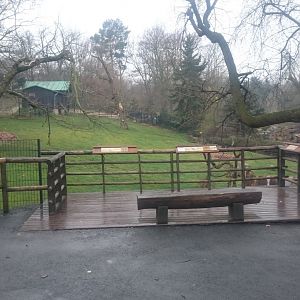 Antilope - Ground-hornbill Enclosure