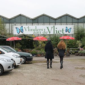 Vlinders aan de Vliet