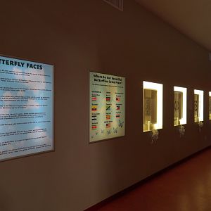 3D Theater Entry Hall