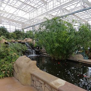 Conservatory - Koi Pond