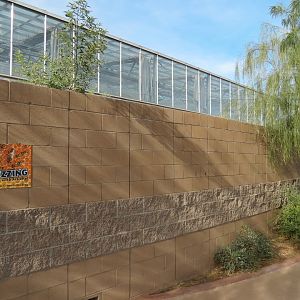 Conservatory - Exterior of Pollinator Paradise Garden