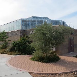 Conservatory - Exterior