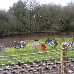 Reindeer abuse? December 2016