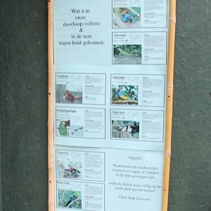 Signs birds and Iguana In the Walk-through