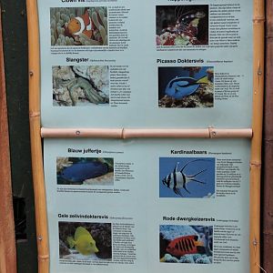 Sea-aquarium signs
