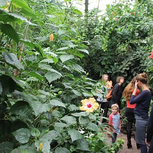 Walk-through enclosure