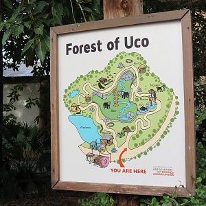 Forest of Uco - Complex Map