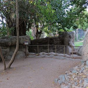 Forest of Uco - Andean Bear Exhibit - First Viewing Area