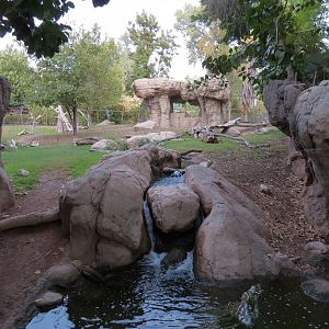 Forest of Uco - Andean Bear Exhibit - First View