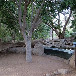 Forest of Uco - Fish Exhibit - Viewing Area