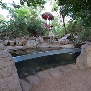 Forest of Uco - Fish Exhibit