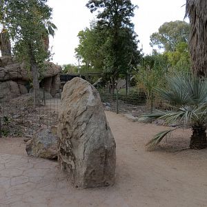 Forest of Uco - Andean Bear Exhibit - Second Viewing Area