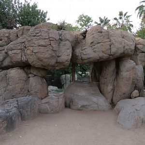 Forest of Uco - Andean Bear Exhibit - Second Viewing Area