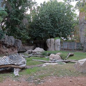 Forest of Uco - Andean Bear Exhibit - Second View