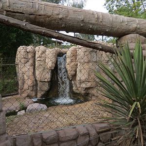 Forest of Uco - Andean Bear Exhibit - Second View