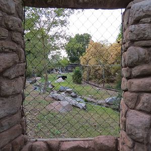 Forest of Uco - Andean Bear Exhibit - Second View