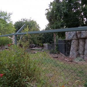 Forest of Uco - Andean Bear Exhibit - Third View