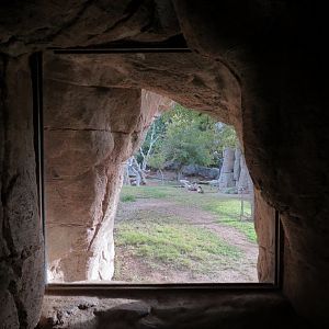 Forest of Uco - Andean Bear Exhibit - Third View