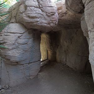 Forest of Uco - Andean Bear Exhibit - Third Viewing Area
