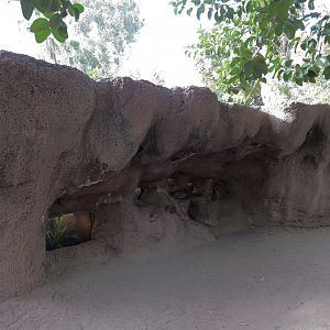 Forest of Uco - Invertebrate Exhibits