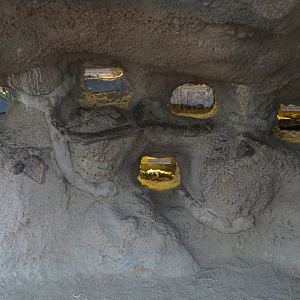 Forest of Uco - Invertebrate Exhibits