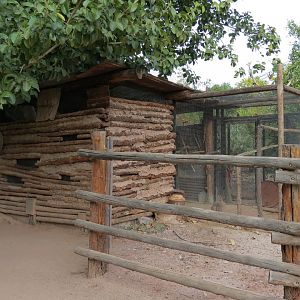 Forest of Uco - Barn Owl Exhibit