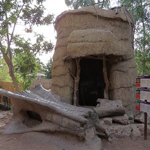 Forest of Uco - Snake Exhibit