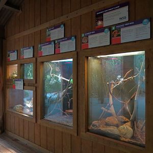 Forest of Uco - Reptile and Amphibian Exhibits