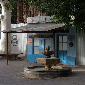 Forest of Uco - Entry and Exit Village Theming