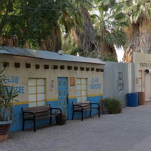 Forest of Uco - Entry and Exit Village Theming
