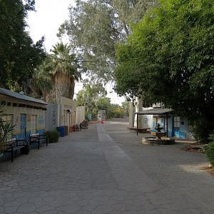 Forest of Uco - Entry and Exit Village Theming