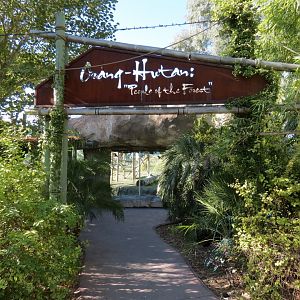 Orang-Hutan - Entry Sign