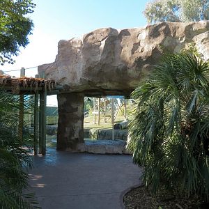 Orang-Hutan - Right Exhibit Outdoor Viewing Area