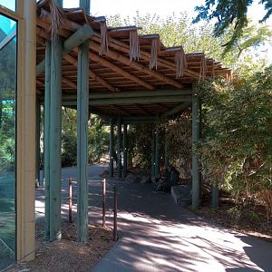 Orang-Hutan - Right Exhibit Outdoor Viewing Area