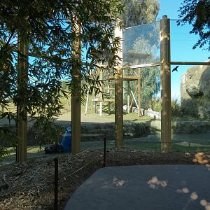 Orang-Hutan - Right Exhibit Outdoor Viewing Area