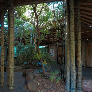 Orang-Hutan - Indoor Viewing Building - Porch