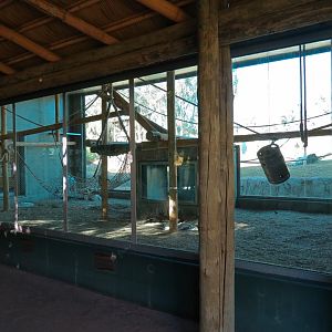 Orang-Hutan - Right Exhibit Indoor View