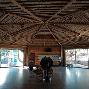 Orang-Hutan - Indoor Viewing Building Interior
