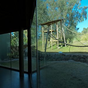 Orang-Hutan - Right Exhibit Indoor Viewing Area