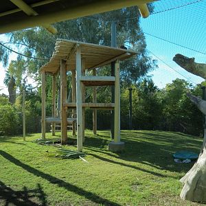Orang-Hutan - Second Exhibit Indoor View