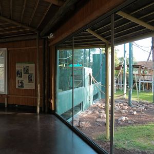 Orang-Hutan - Second Exhibit Indoor Viewing Area