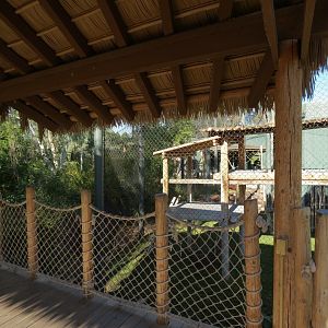Orang-Hutan - Second Exhibit Outdoor Viewing Area