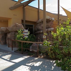 Guest Services Building - Native Species Exhibit