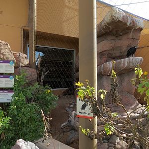 Guest Services Building - Native Species Exhibit